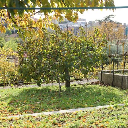 Il Gelsomino Villa Trieszt Kültér fotó