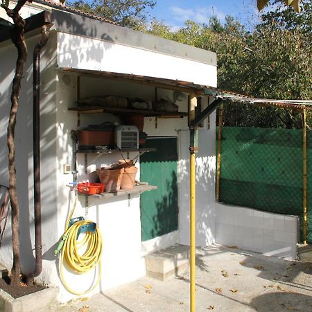 Il Gelsomino Villa Trieszt Kültér fotó