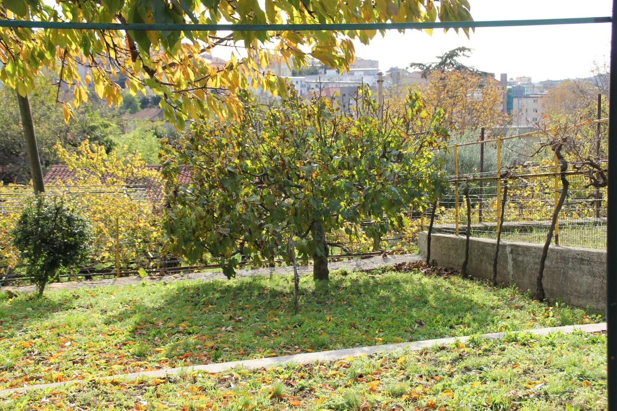 Il Gelsomino Villa Trieszt Kültér fotó