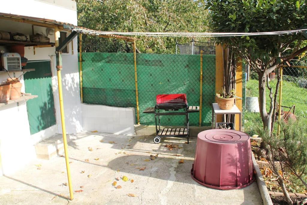 Il Gelsomino Villa Trieszt Kültér fotó