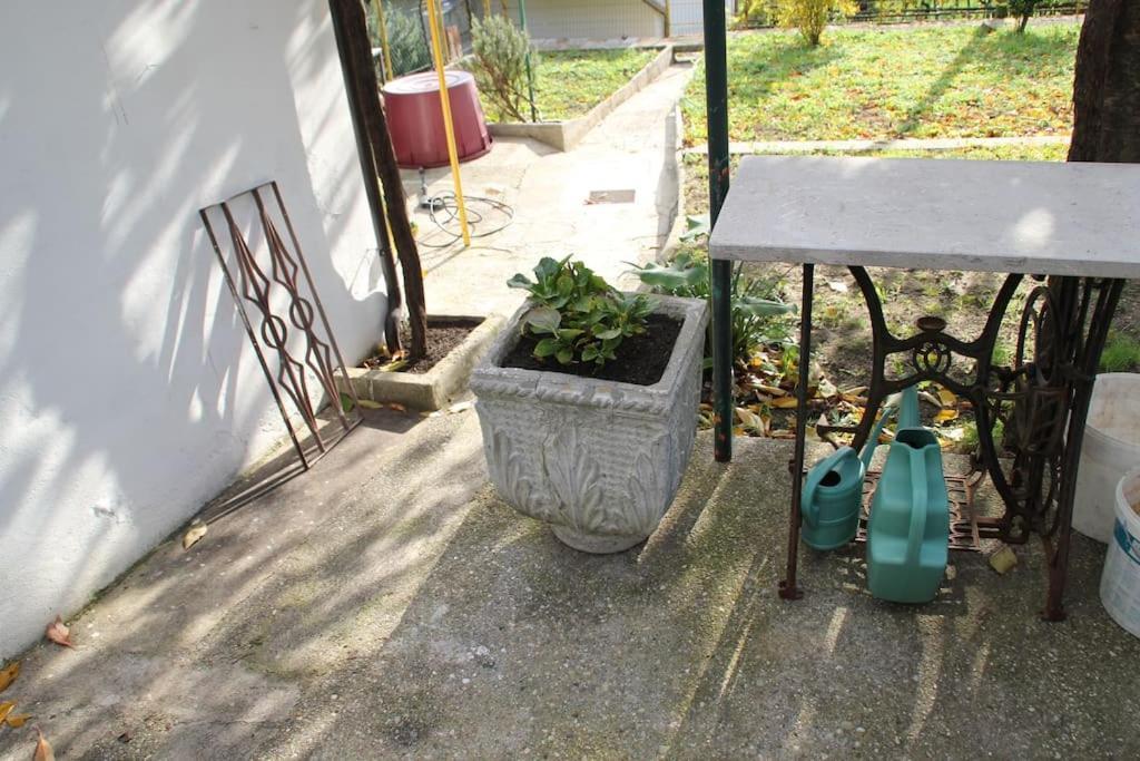 Il Gelsomino Villa Trieszt Kültér fotó