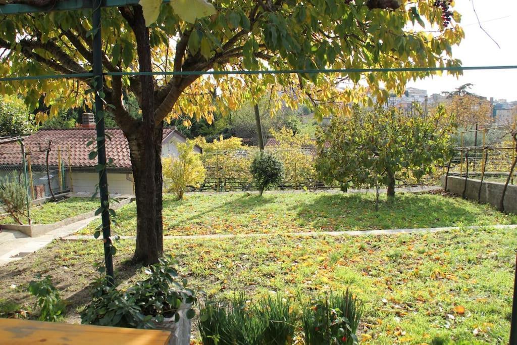 Il Gelsomino Villa Trieszt Kültér fotó