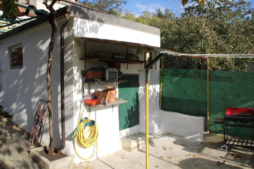Il Gelsomino Villa Trieszt Kültér fotó